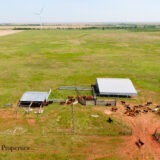 Harrold Cattle Grazing Land