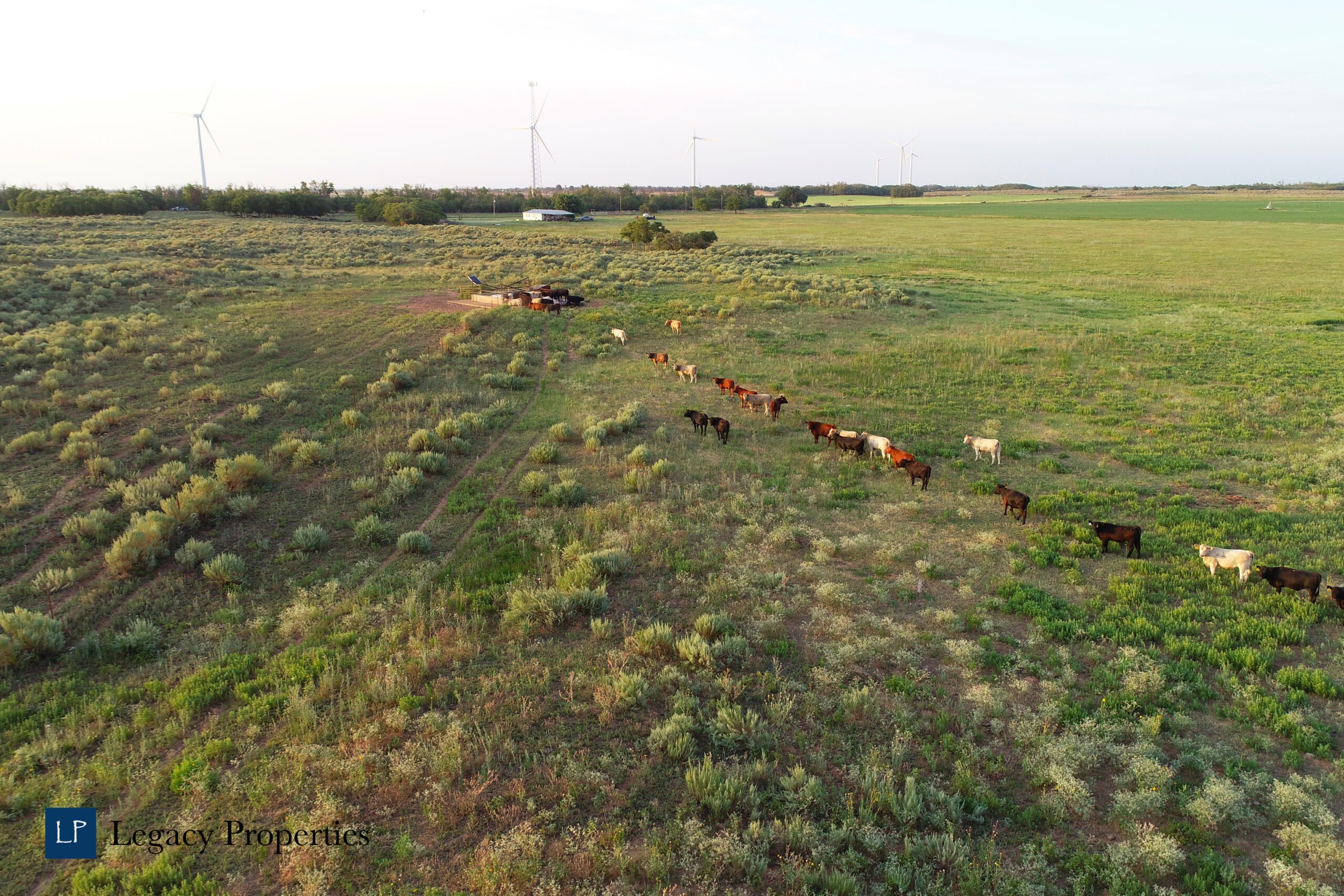 CR 101 Cattle Ranch - Legacy Properties | Ranch and Farm Brokerage