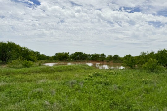 Richardson Ranch