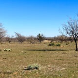 Eagle St Acreage