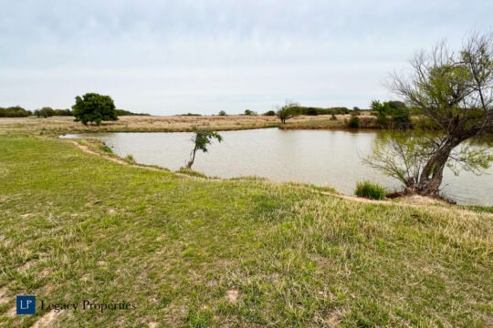 Bowie Ranch