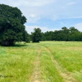 Upper Montague Rd Ranch | Tract 5