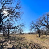 Oak Treed Hill with View