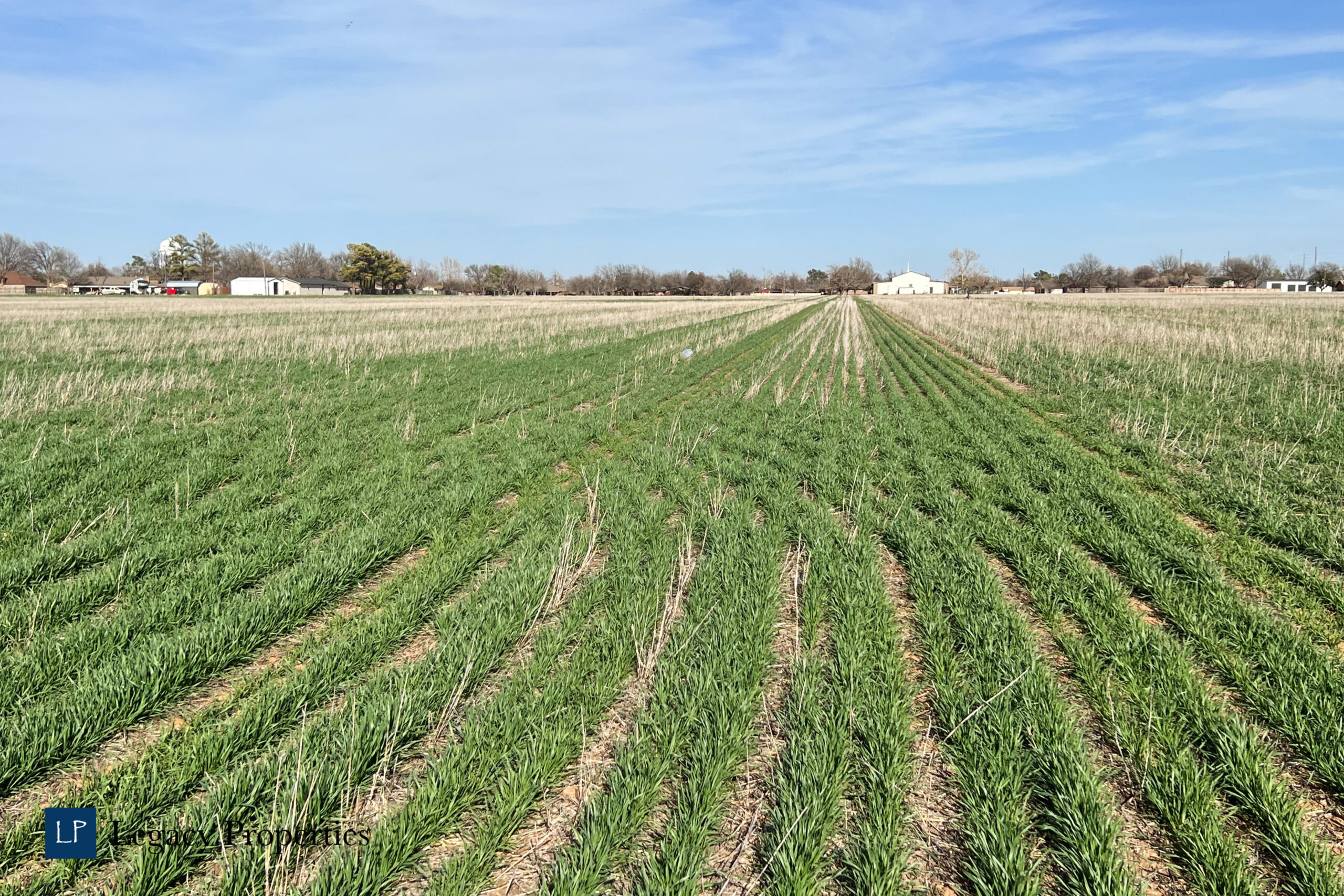 B B 5 Acre Land Tract 4 Legacy Properties Ranch And Farm Brokerage b-b-5-acre-land-tract-4-legacy-properties-ranch-and-farm-brokerage
