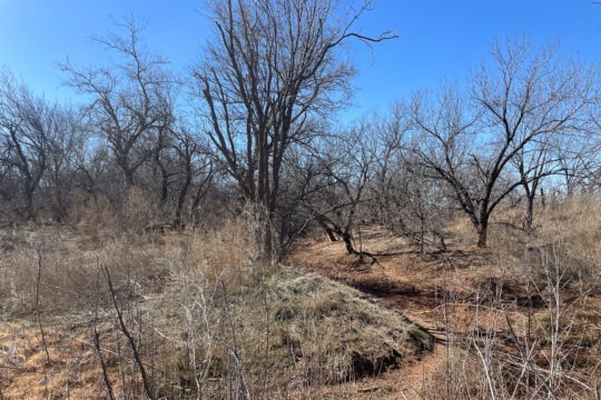 Stautzenberger Ranch